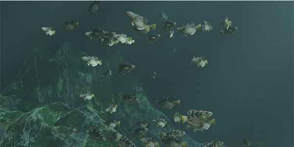 پلاگین بلندر FishSim