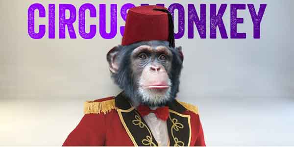 اسکریپت افترافکت CircusMonkey