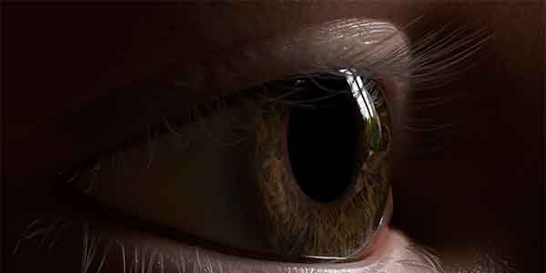 پلاگین بلندر CharMorph-2 پلاگین بلندر CharMorph