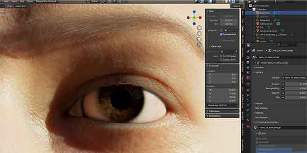 پلاگین بلندر CharMorph